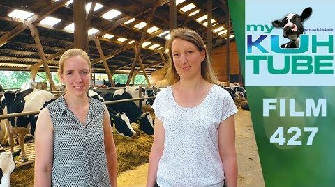 Stolz-wie-Bolle-My-KuhTube-Film-427