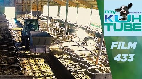 Frische-Betten-fuer-die-Maedels-My-KuhTube-Film-433