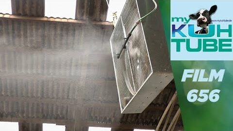 Kuhdusche-2.0-My-KuhTube-Film-656