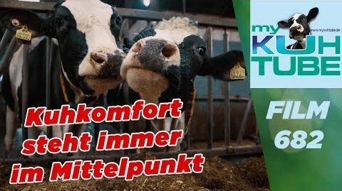 Kuhkomfort-steht-immer-im-Mittelpunkt-My-KuhTube-Film-682