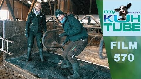 Wasserbetten-fuer-die-Kuehe-My-KuhTube-Film-570