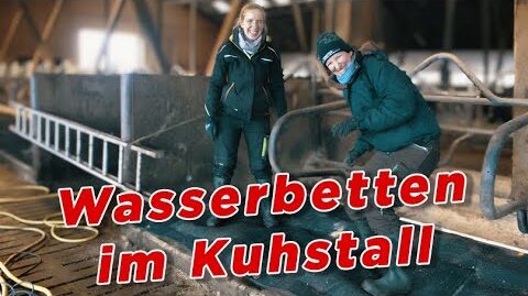 Wasserbetten-im-Kuhstall-My-KuhTube-Film-570