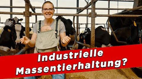 Industrielle-Massentierhaltung-So-gehts-den-Kuehen-My-KuhTube-Film-802