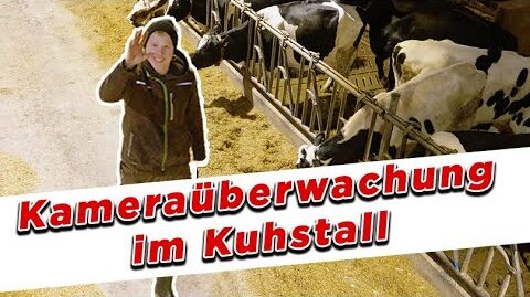 Kameraueberwachung-im-Kuhstall-My-KuhTube-Film-800