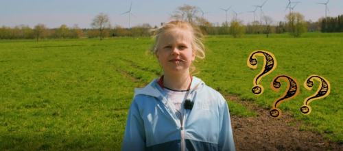 Stina steht auf Weidefläche