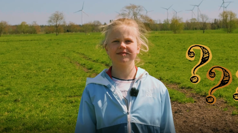 Stina steht auf Weidefläche