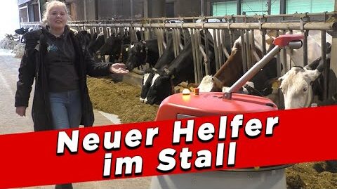 Neuer-Helfer-im-Stall-My-KuhTube-Film-819