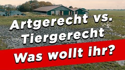 Artgerecht-vs.-Tiergerecht-–-Welche-Haltung-wollt-ihr
