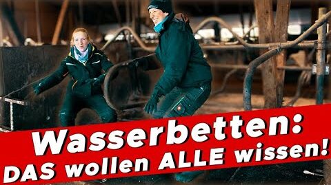 Kuehe-auf-Wasserbetten-Eure-Fragen-unsere-Antworten-MY-KuhTube-Film-885