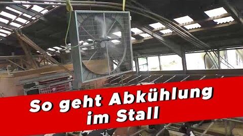 Mehr-Komfort-fuer-Kuehe-–-mit-Luft-und-feinem-Wassernebel-My-KuhTube-Film-656