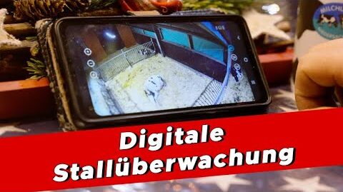 Digitale-Stallueberwachung-My-KuhTube-Film-800