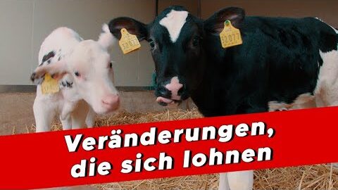 Veraenderungen-die-sich-lohnen-My-KuhTube-Film-984